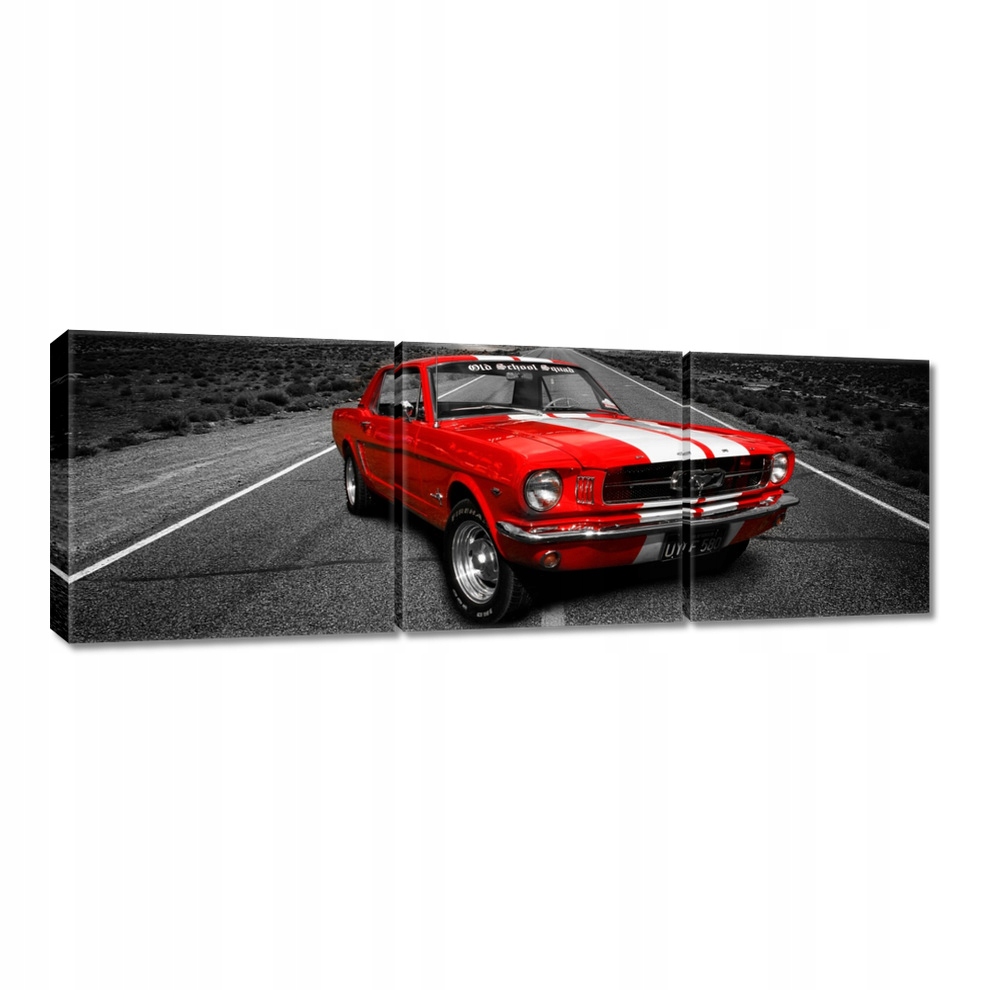 

Obrazy 120x40 Czerwony Ford Mustang