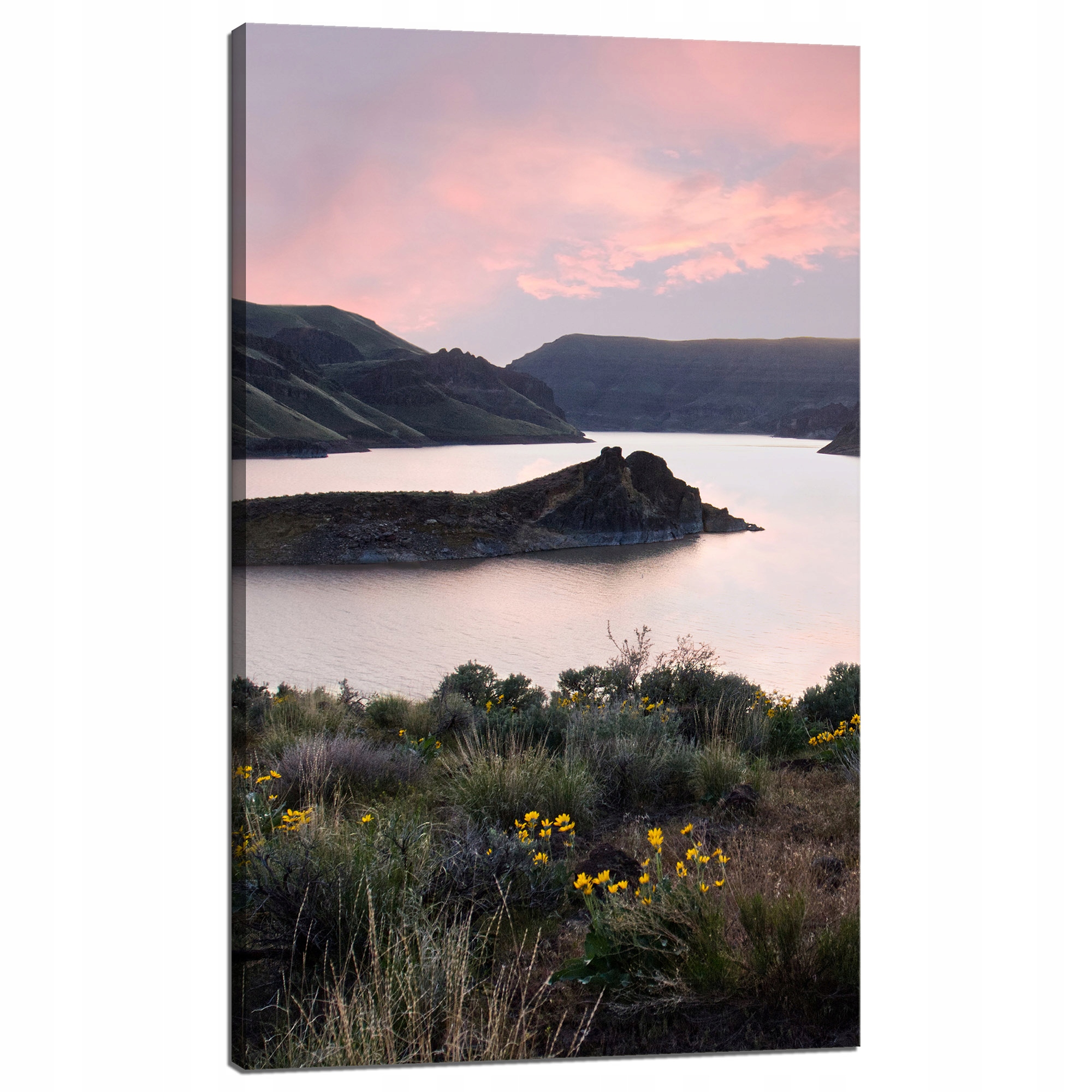 Obraz na plátně Příroda Hory Voda Nebe Květiny Rostliny 60x100