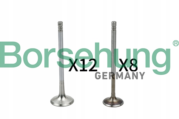 B18635 - ВИХЛОПНІ ВСМОКТУВАЛЬНІ КЛАПАНИ KPL BORSEHUNG