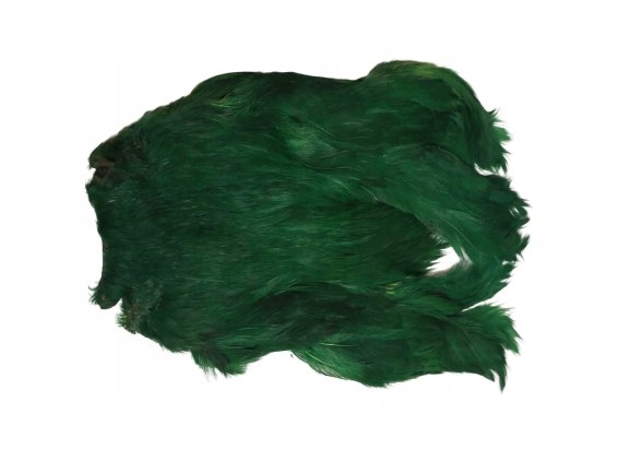 

Eu Kapka szyjna Kura Kolor Zielony