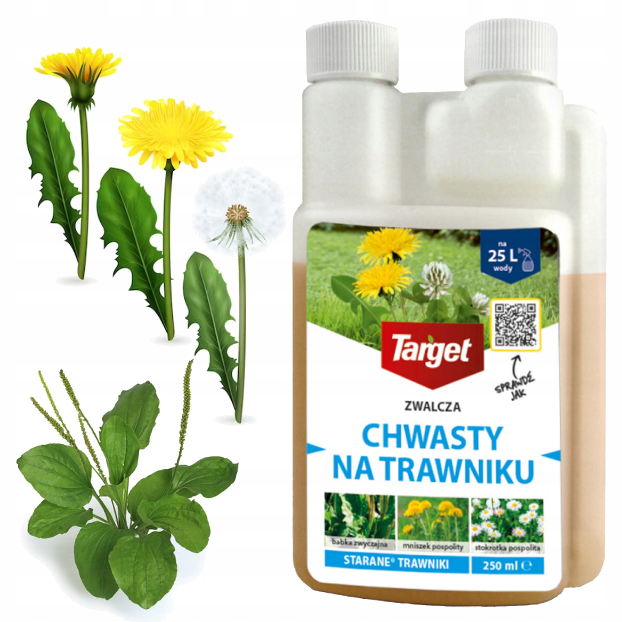 Oprysk Środek Na Chwasty W Trawie Target Starane 250 ML Bezpieczny Preparat