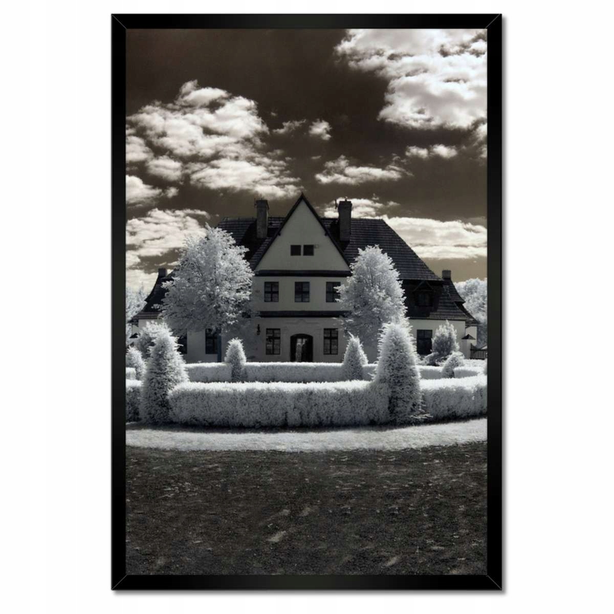 Plakáty v rámu 40x60 Fotografie v infračerveném Ir