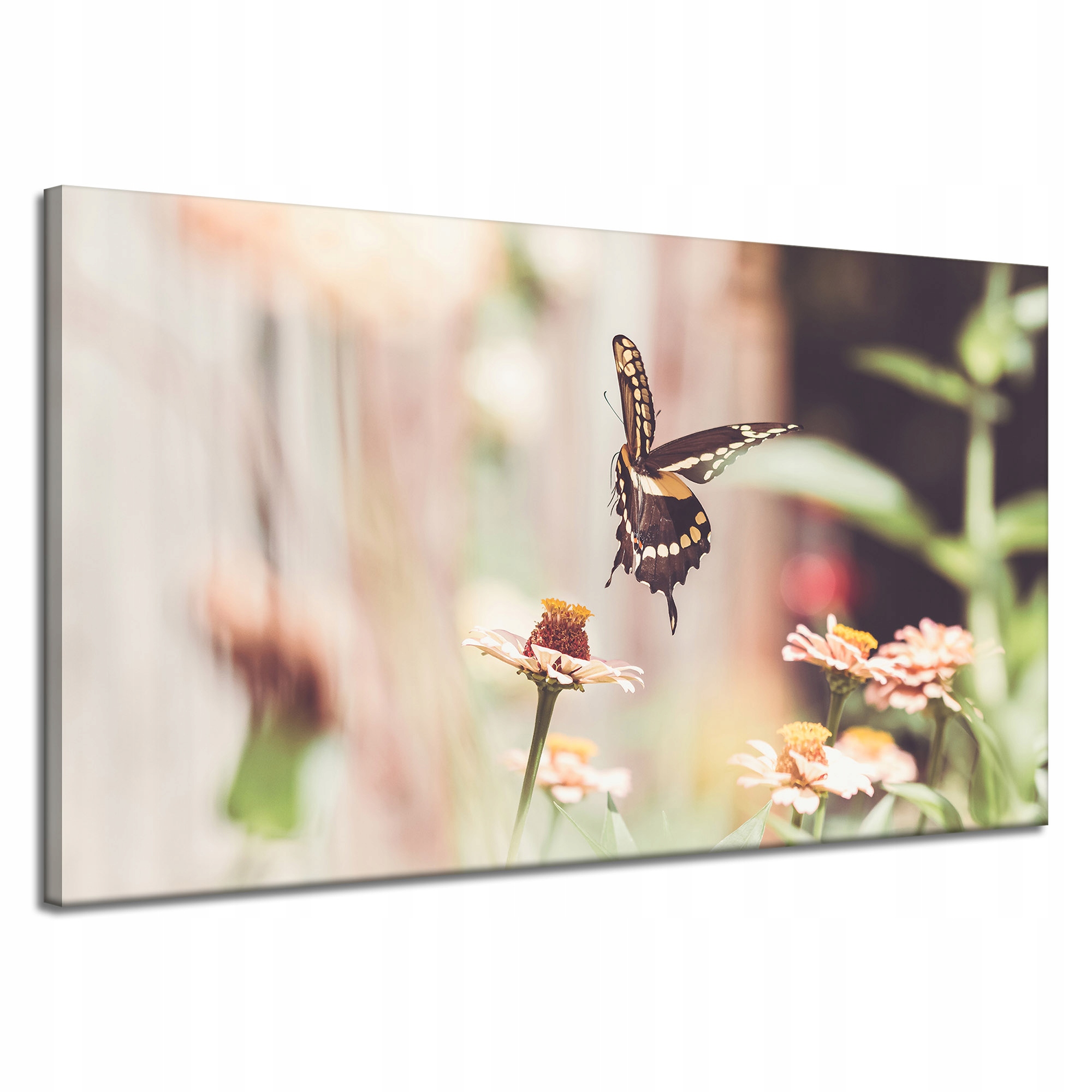 Obraz na plátně Příroda Hmyz Motýl Květiny Jaro Léto 120x70