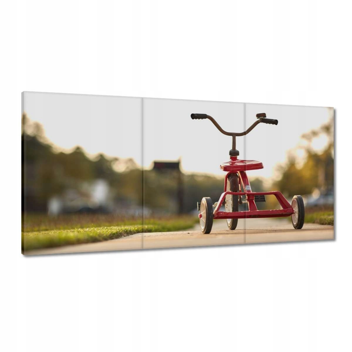Obrazy 180x90 Trojkolesový bicykel