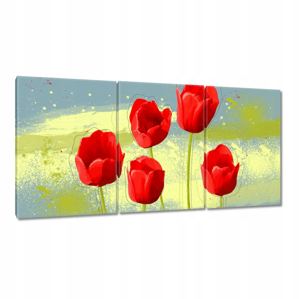 

Obrazy 120x60 Maki na niebieskim tle