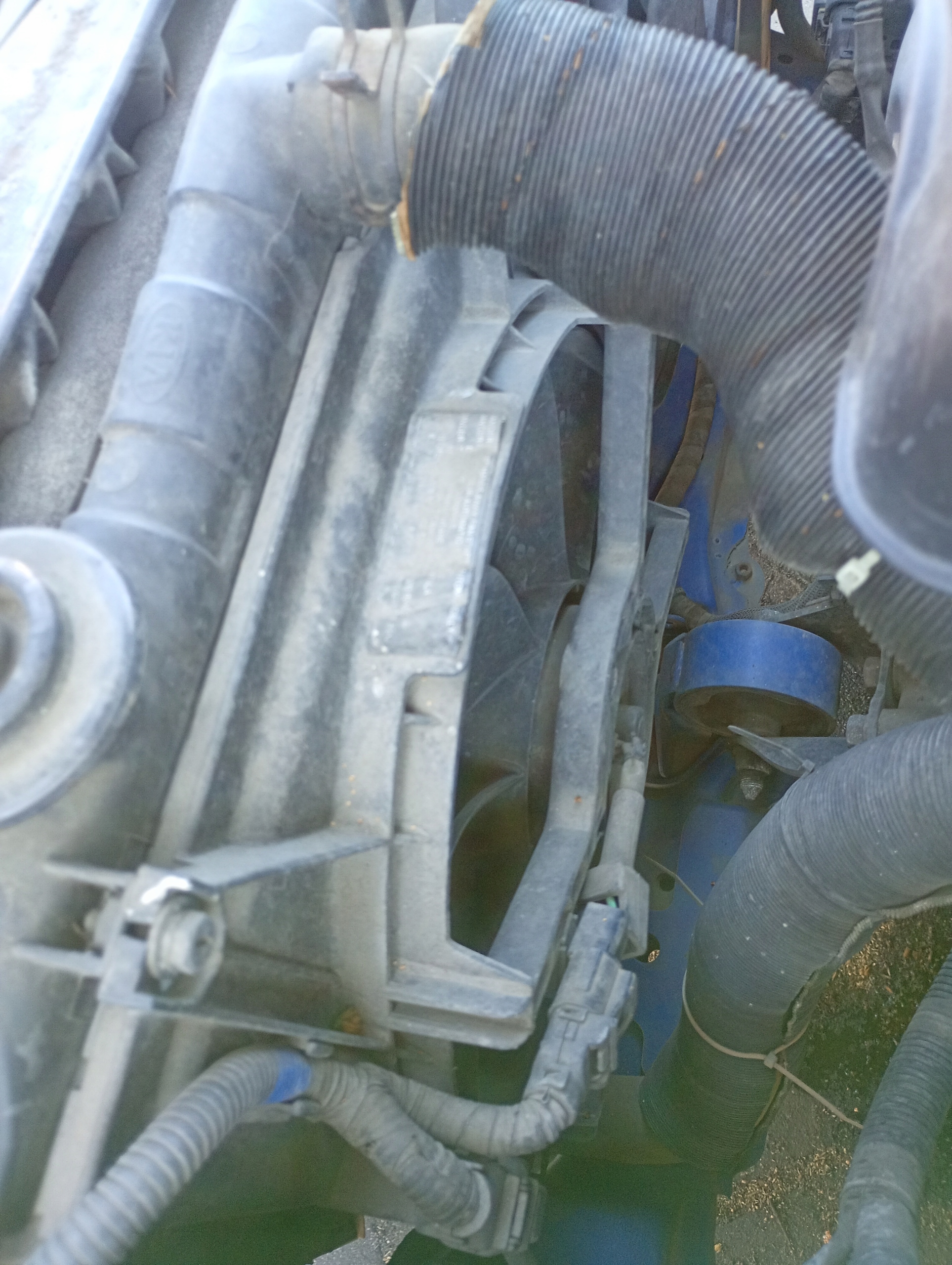 VENTOLA Motore radiatore Kia CERATO 1 e 04-07 1.6