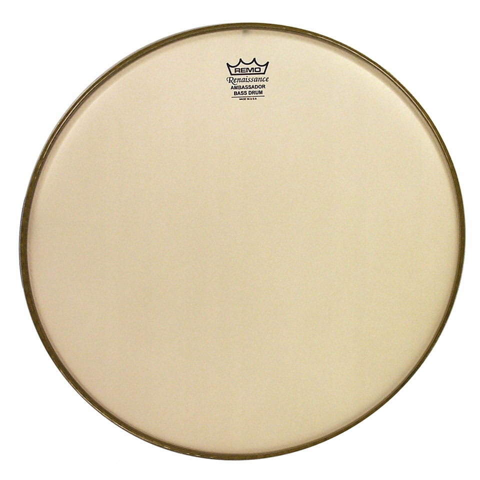 REMO Ambassador Renaissance 12