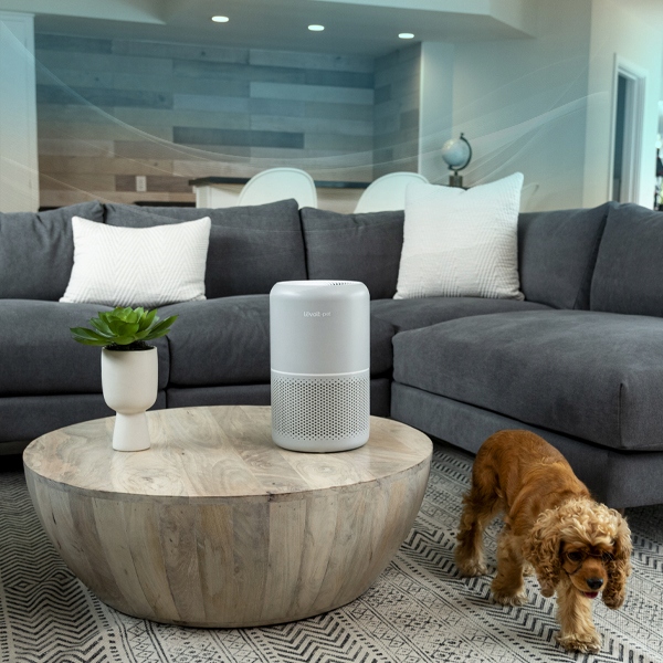 Oczyszczacz powietrza Levoit Core P350 Pet Care Model P350