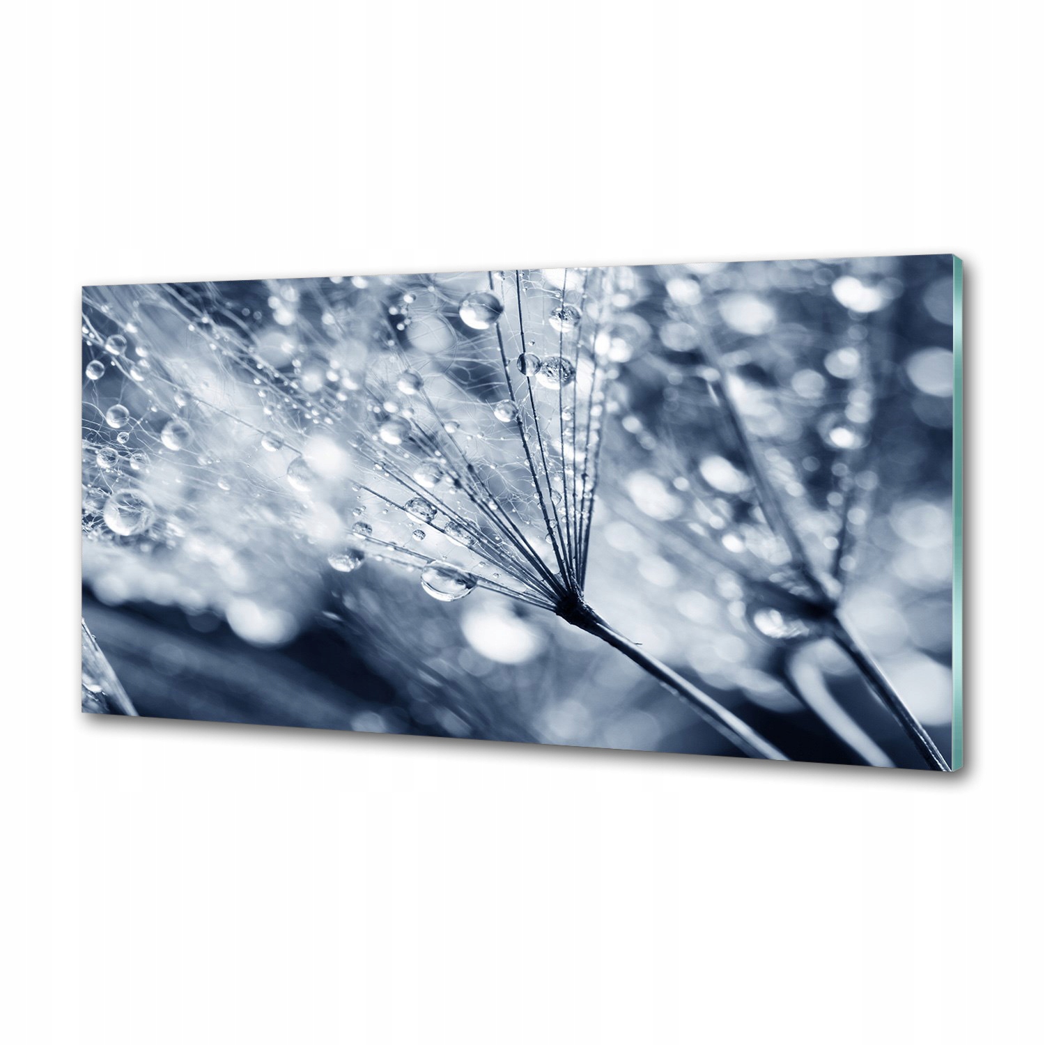Panel do kuchyne Semená dúchadla 120 x 60 cm Lepidlo