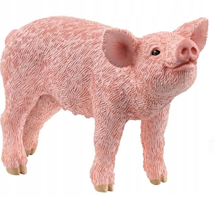 

Prosię