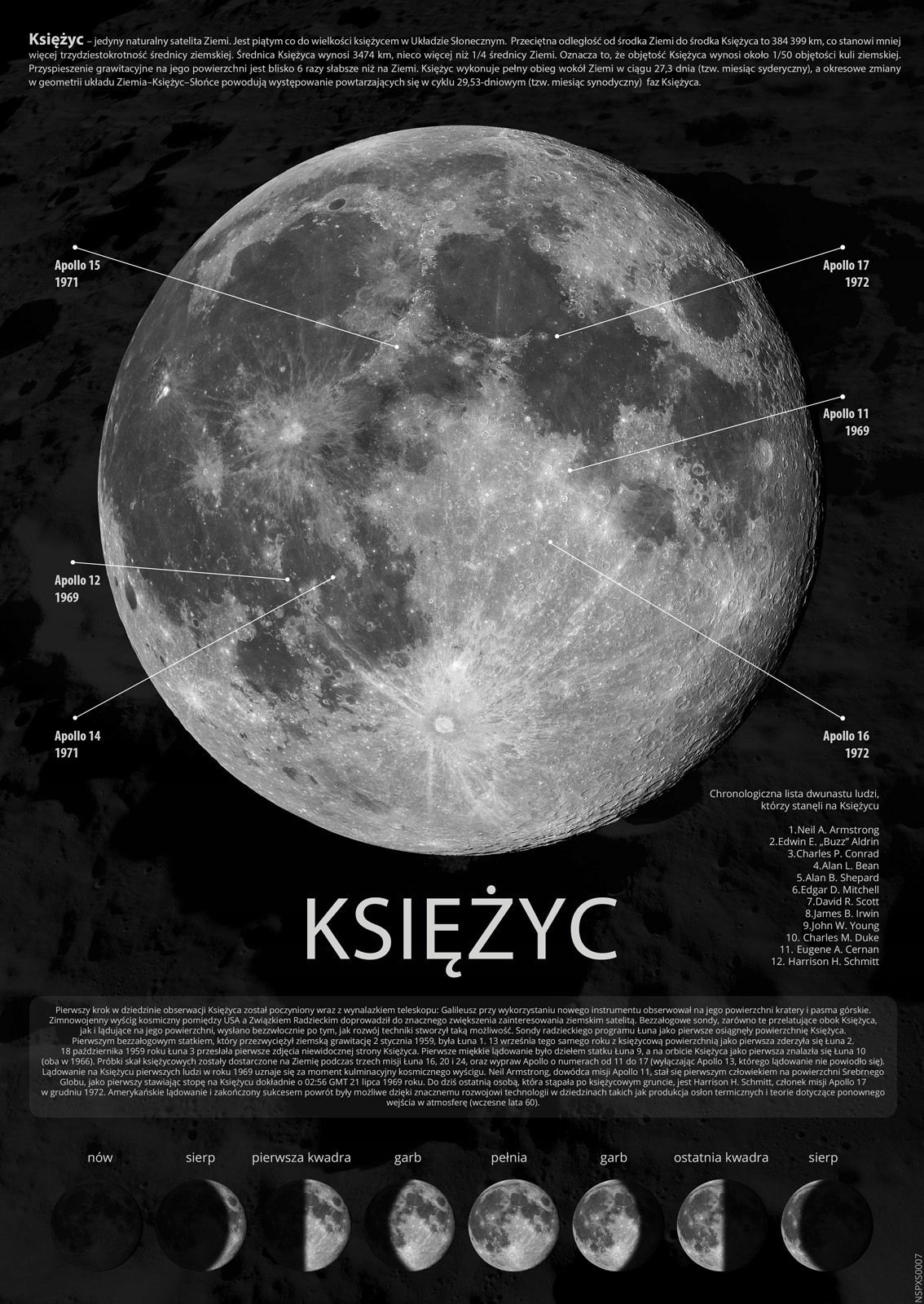 

Fazy Księżyca Informacje plakat 29,7x42 cm