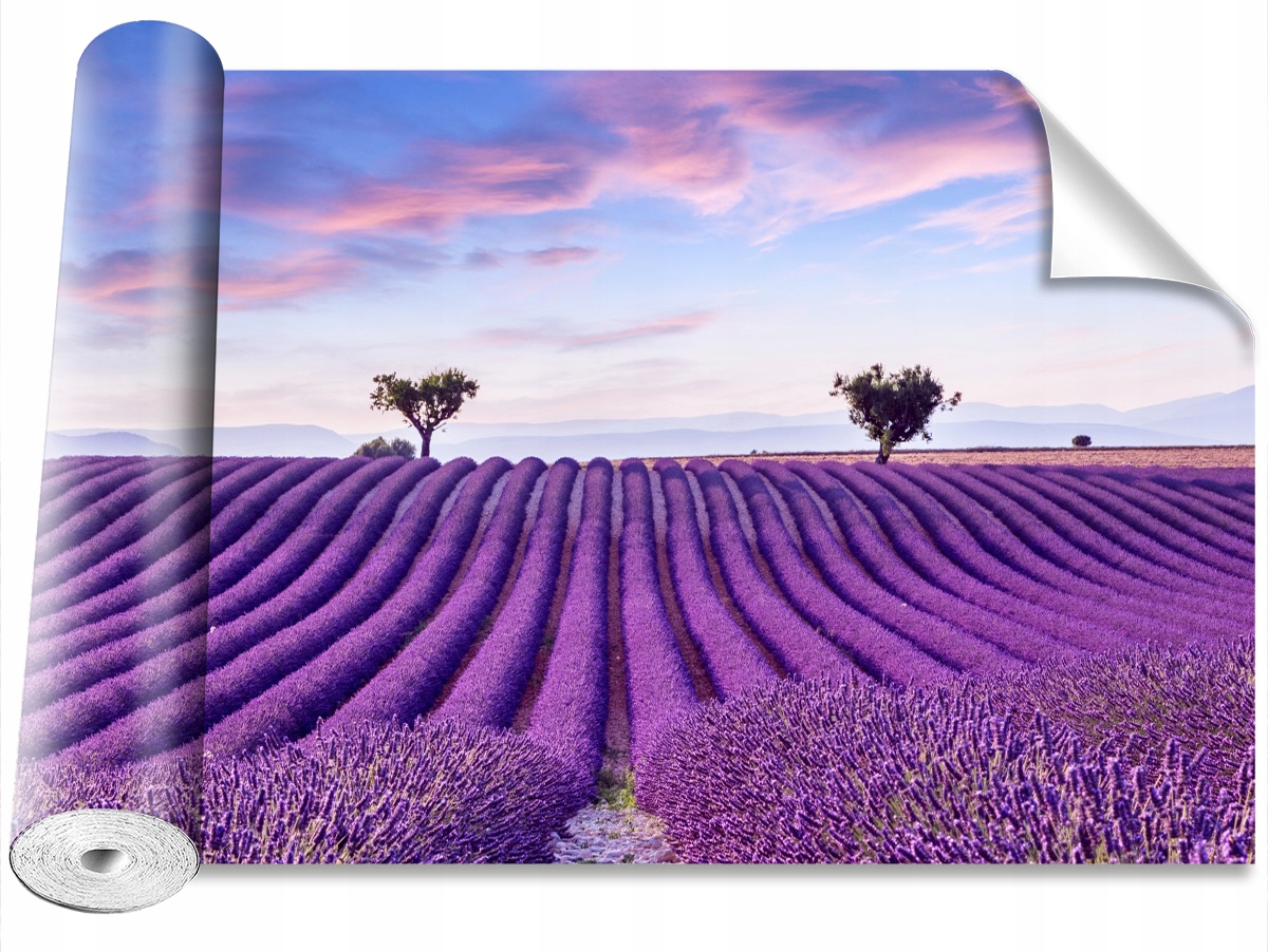 

Fototapeta Samoprzylepna Pole lawendy 312x219