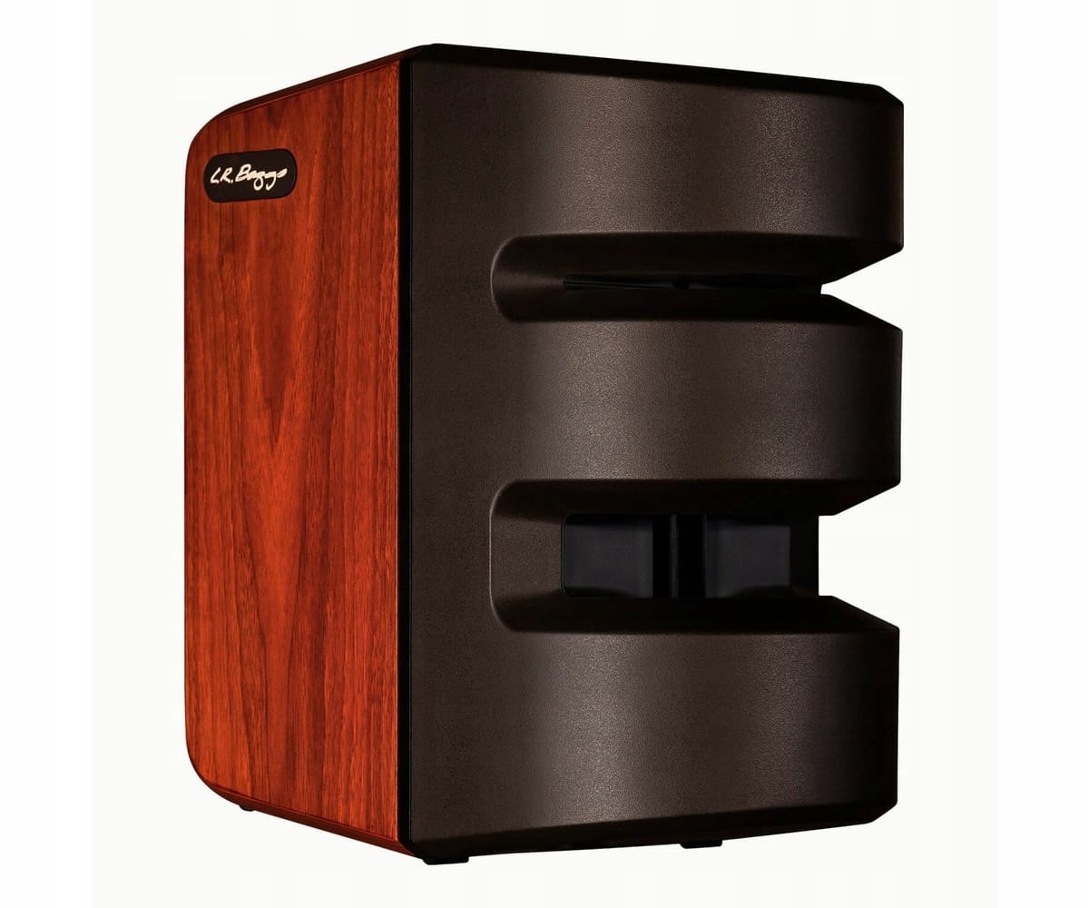 L.R. Baggs Synapse PA