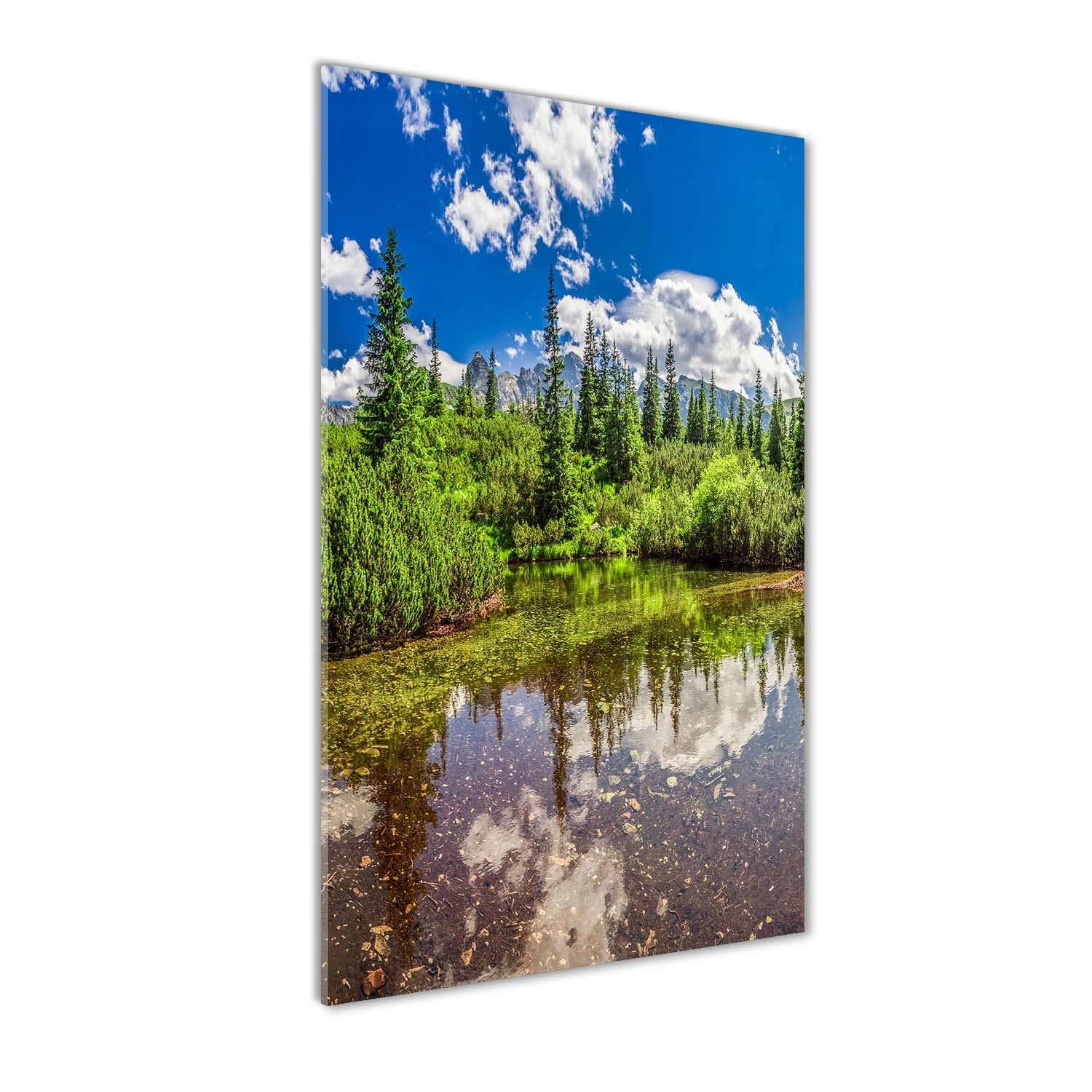 

Foto obraz szkło akrylowe Jezioro w górach 60x120