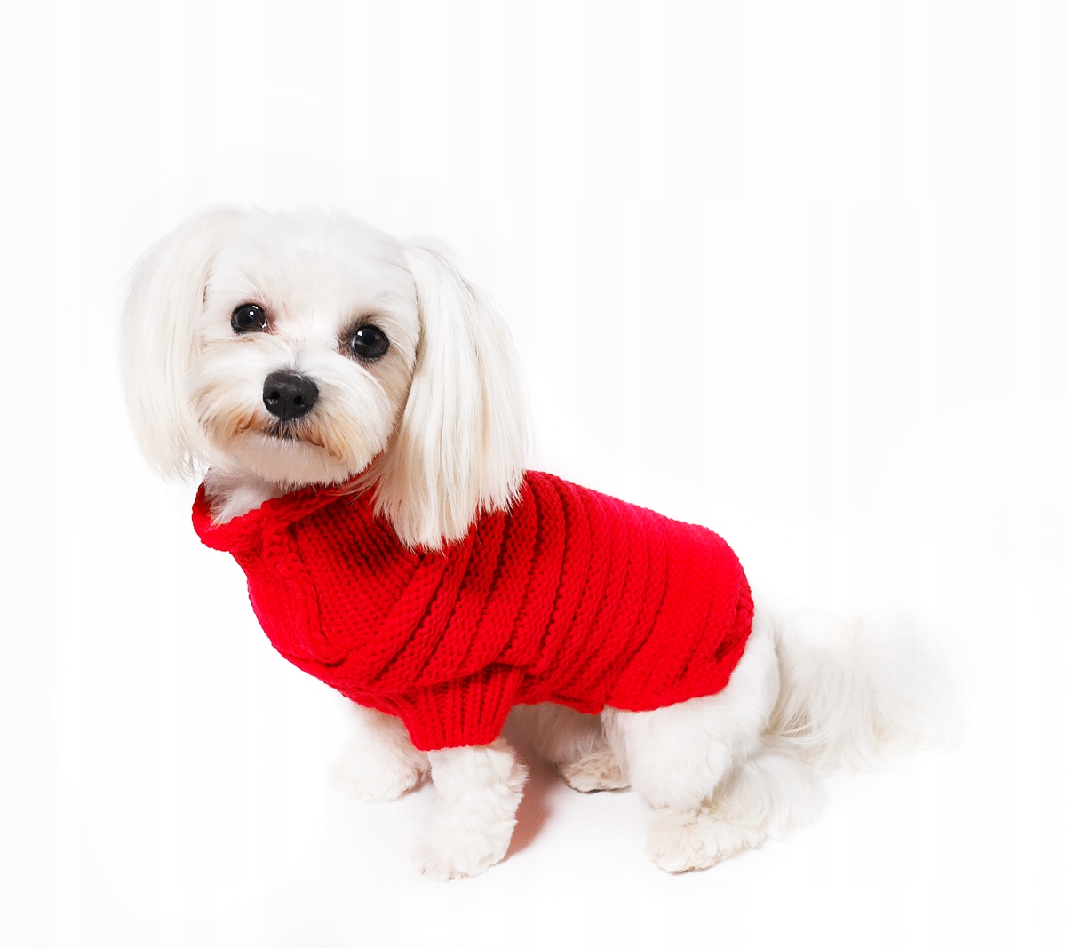 Levně Svetr pro psa XXL zimní červený teplý obleček pro psa PositiveCare
