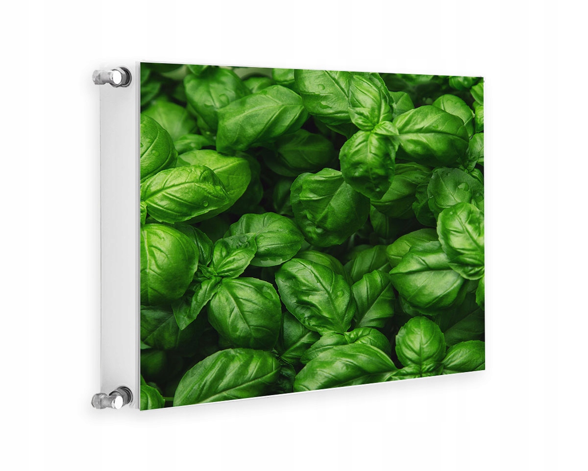 Magnetická Krytka Na Radiátor 60x60 Zelená Fototapeta