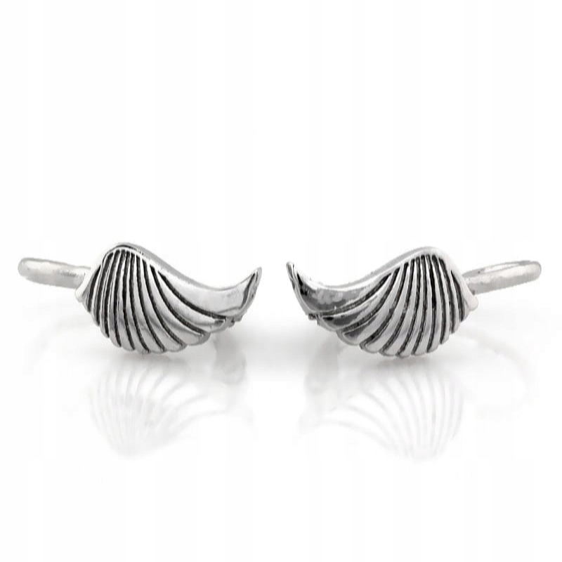 Stříbrné náušnice s křidélky