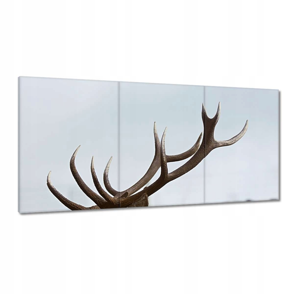 Obrazy 180x90 Jeleň Rogač