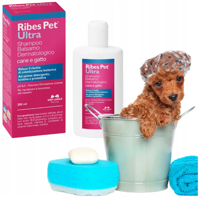 Levně Ribes Pet Ultra pro psy a kočky Nbf Lanes Dermatologický Šampon