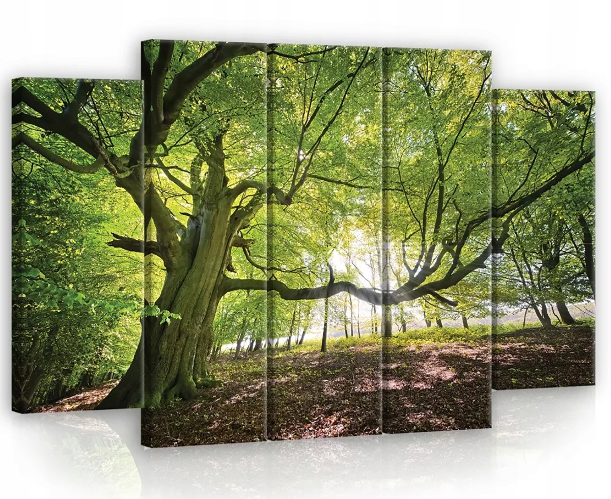 Obraz Na Plátně Canvas 150x100 Les Stromy Zeleň