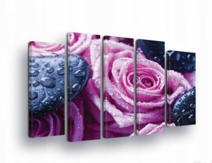 Obraz 150x100 Ruže ružové kvapky vody mokré kamene sviežosť príroda
