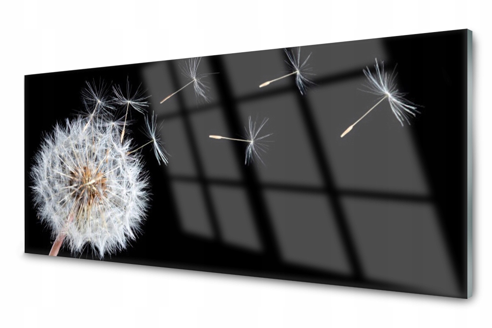 

Panel szklany do kuchni Dmuchawiec Kwiaty 125x50