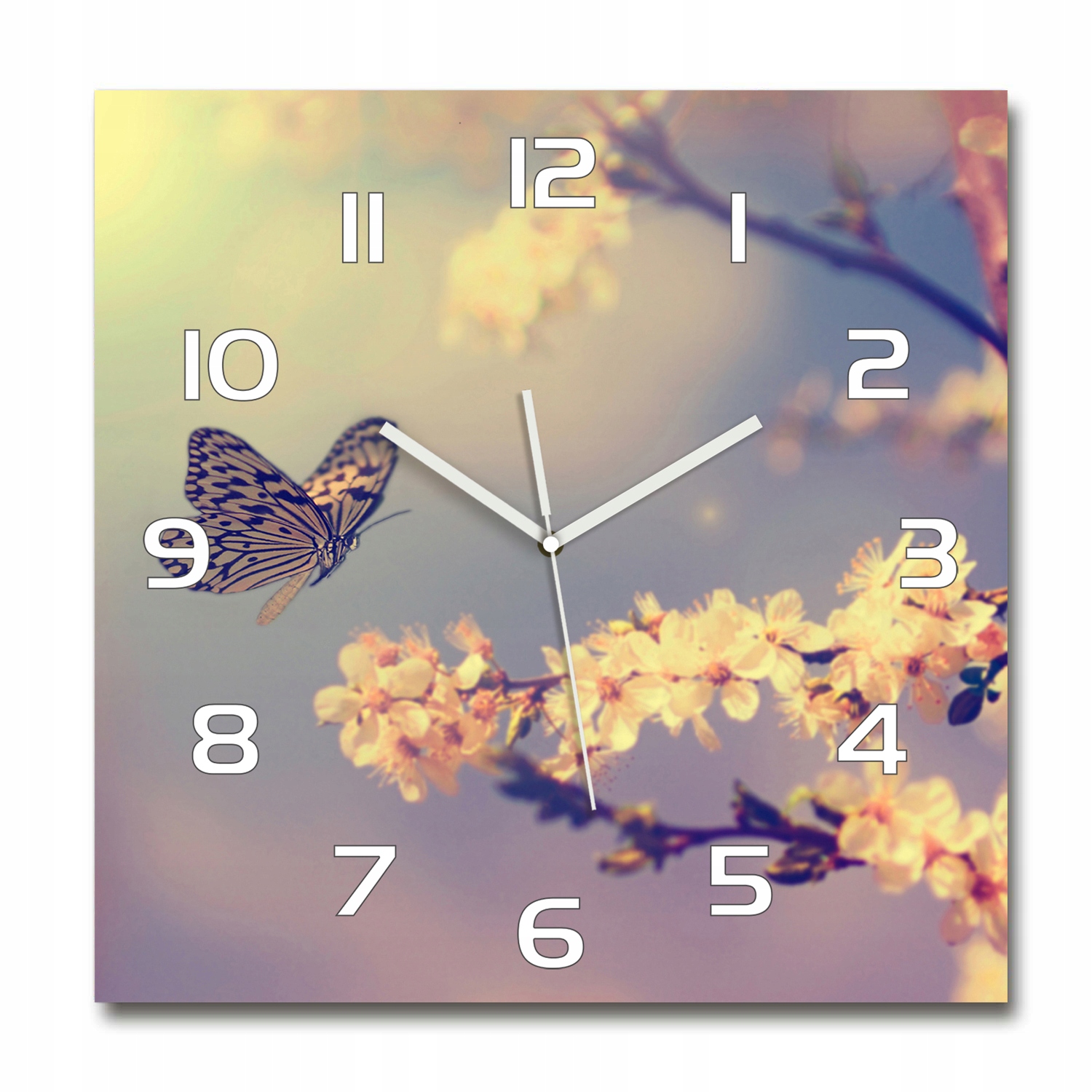 

Cichy szklany zegar Kwiat wiśni i motyl 60x60 cm