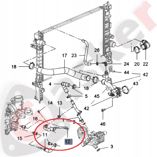 RURA WODNA POWROTNA TURBOSPRĘŻARKI 55567067 OPEL 1.4 A14 NET TURBO Producent części Gasker