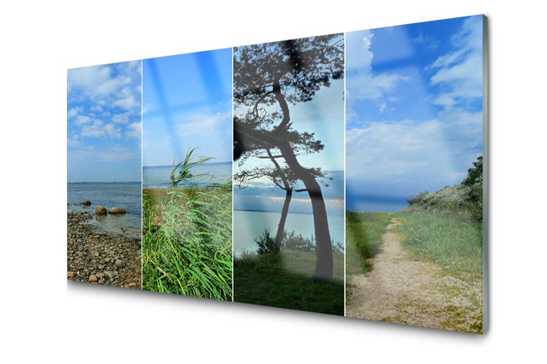 

Panel szklany dekor Plaża Drzewo 140x70 + Klej