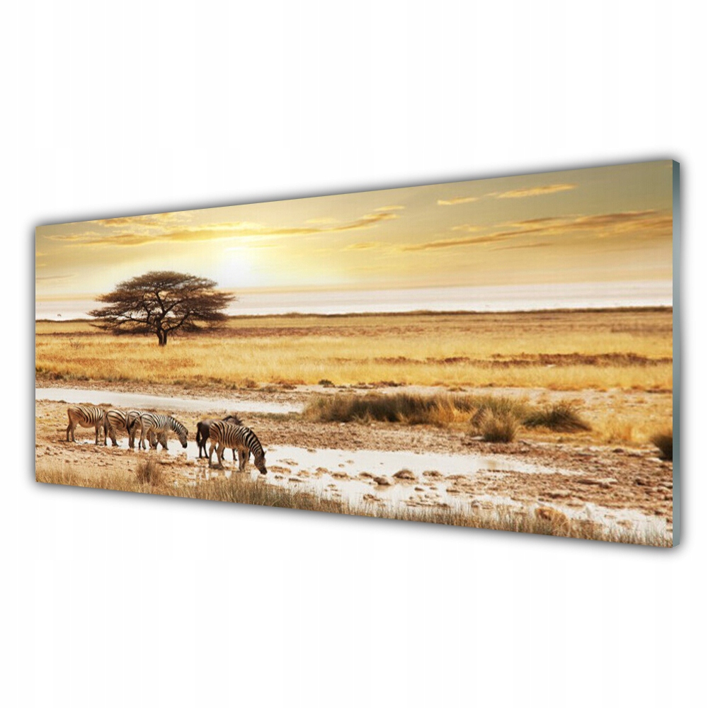 

Fotoobraz nowoczesny 125x50 Zebry Safari Krajobraz