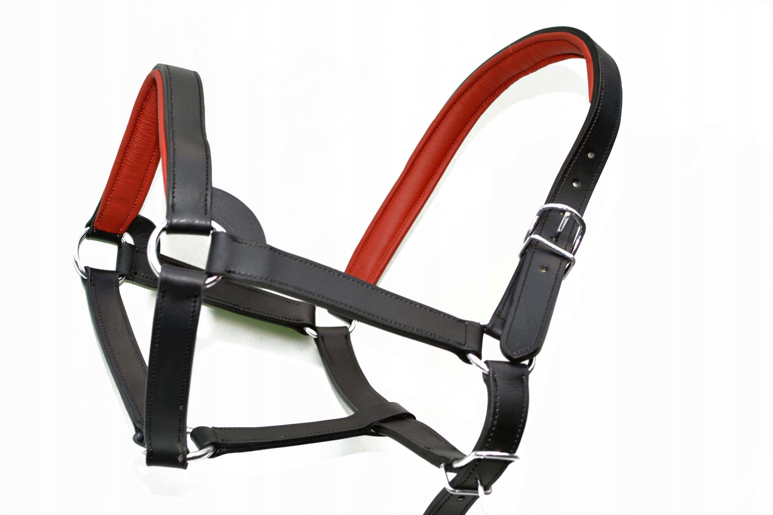 Kantar Skórzany Roz.x-full 700/900KG Zimnokrwisty