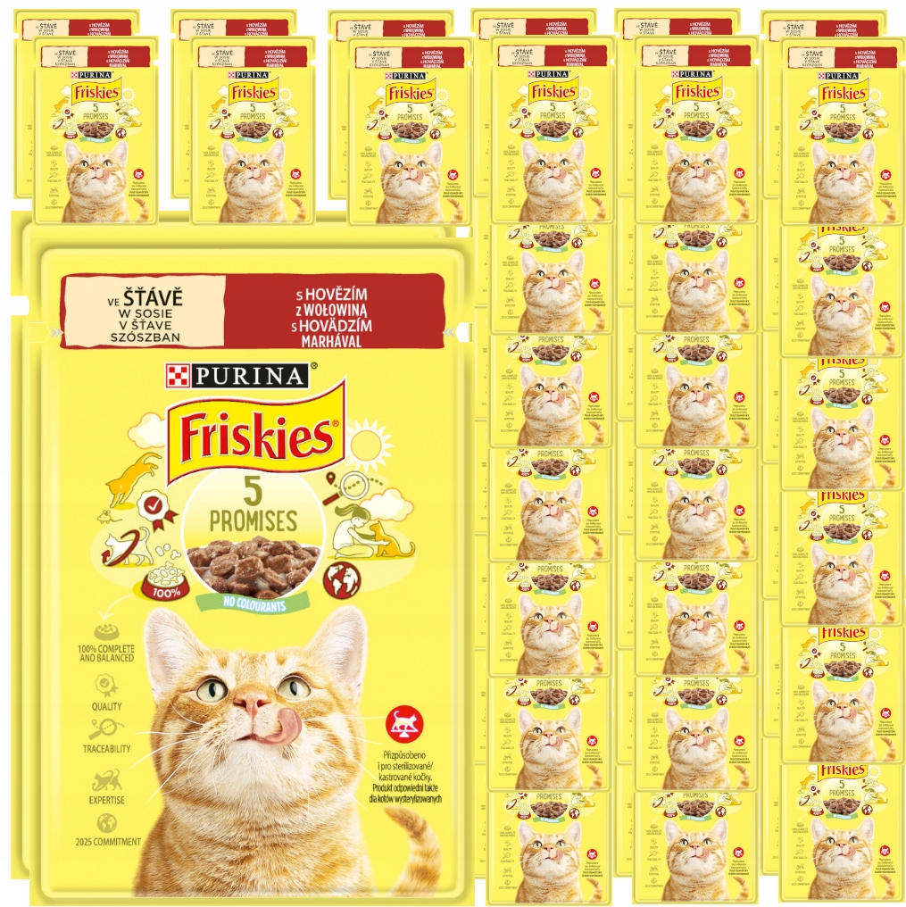 Purina Friskies Hovězí V Omáčce Pro Kočky 48x85 g