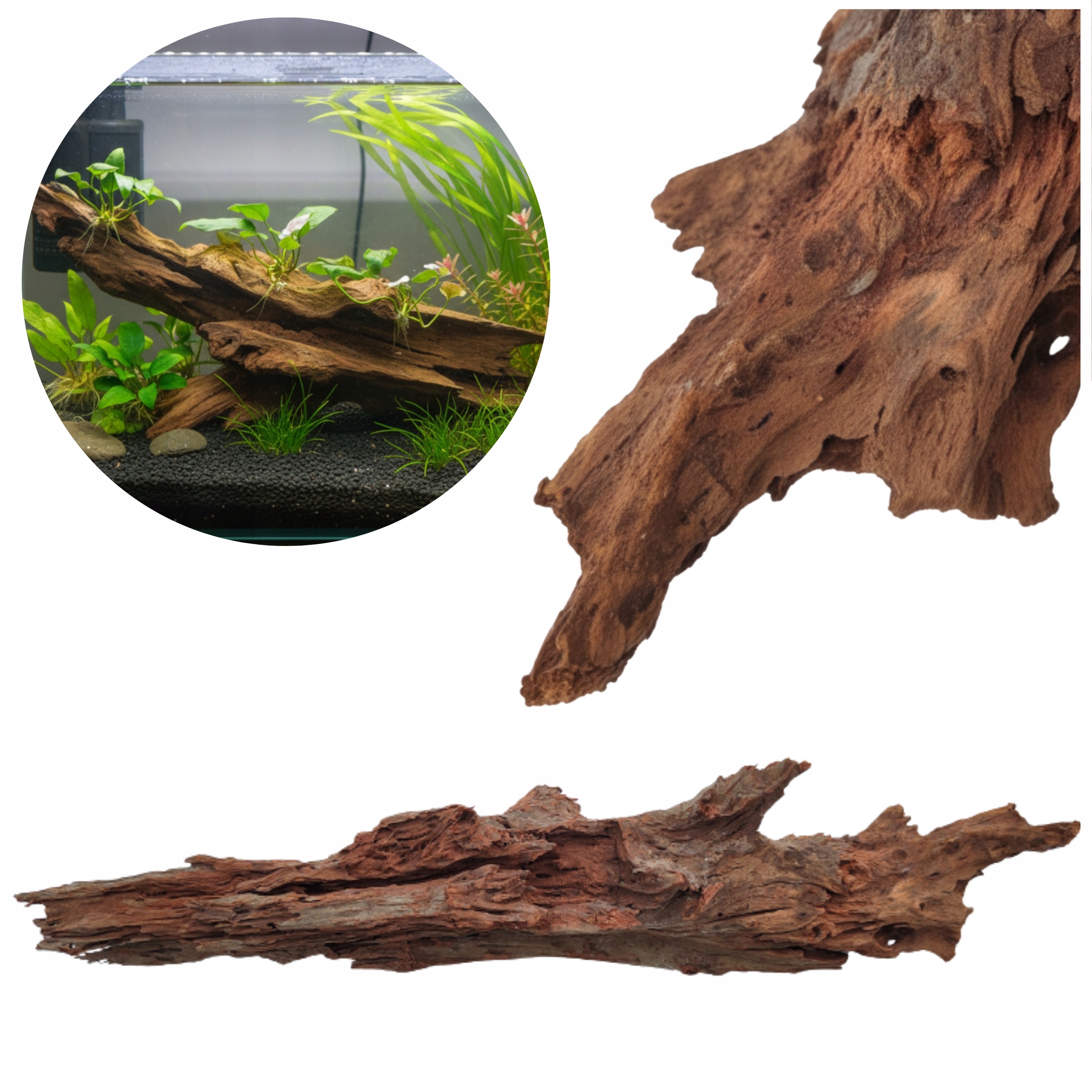 Kořen Mangrovníku Velký Masivní 40-60cm Ideální Do Akvária S Kancíříkem