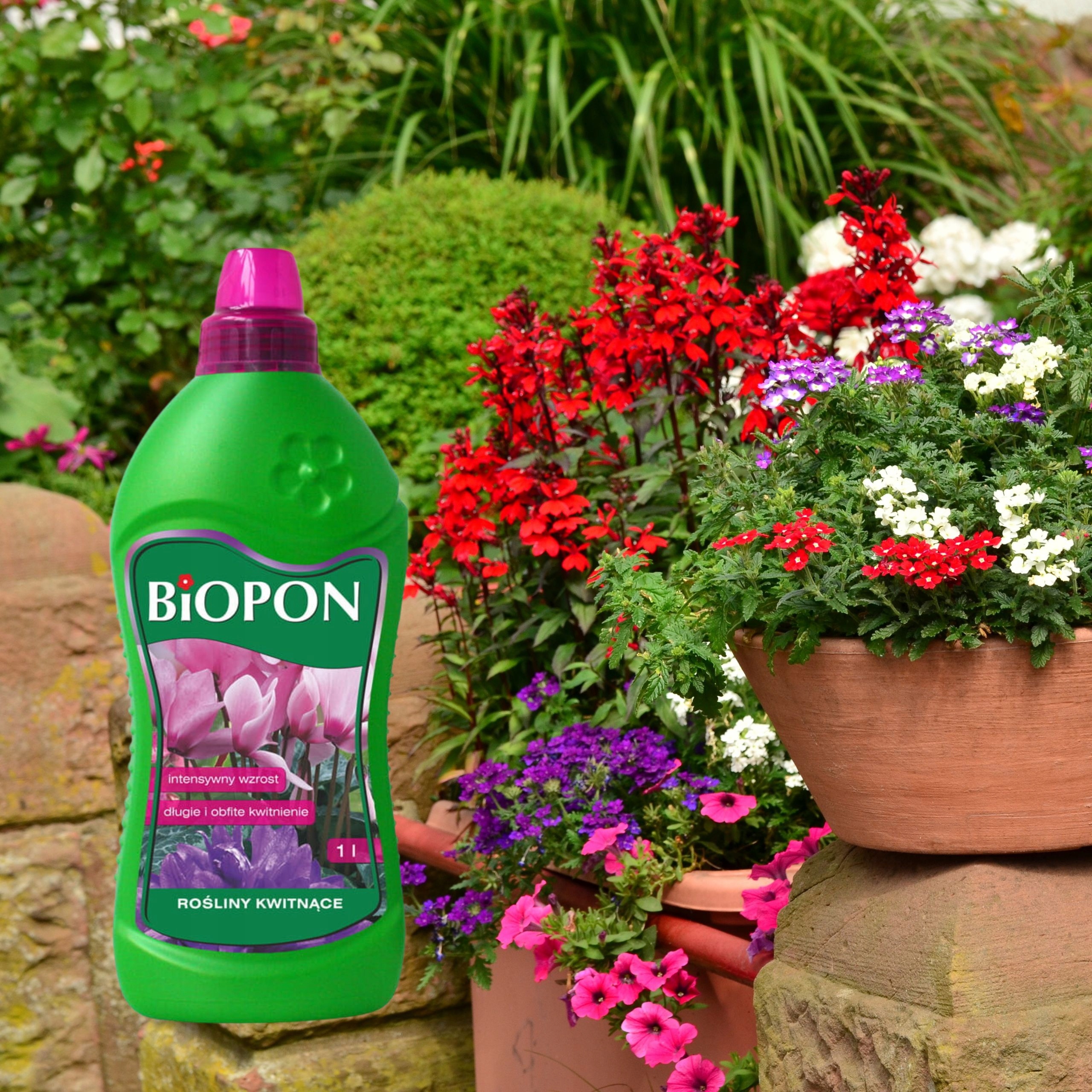BIOPON NAWÓZ DO ROŚLIN KWITNĄCYCH W PŁYNIE 1L DŁUGIE OBFITE KWITNIENIE Producent Biopon