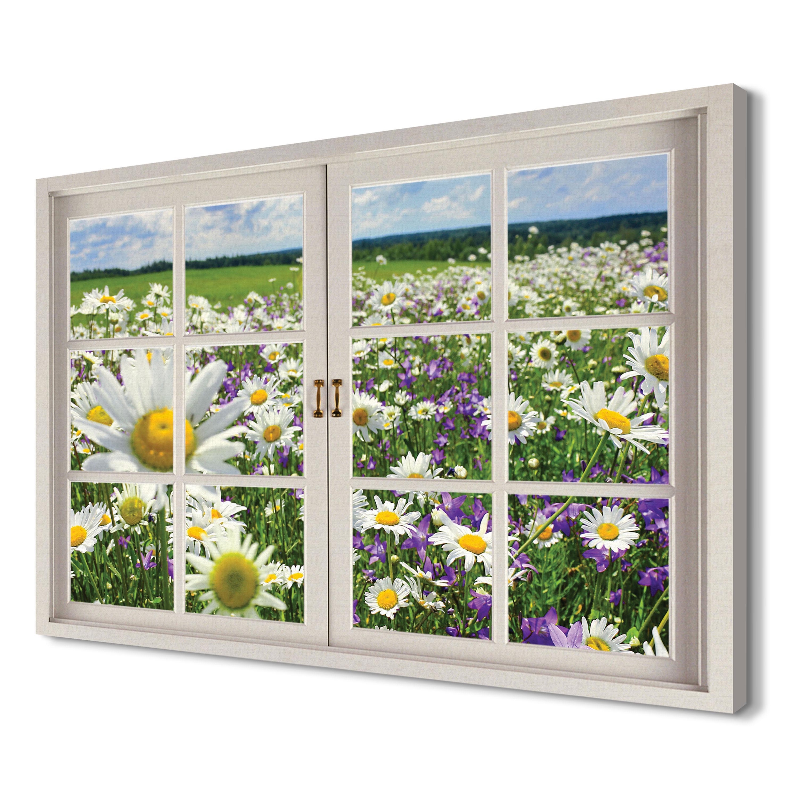 

Łąki i kwiaty na ścianę 120x80 Foto na płótnie 3d