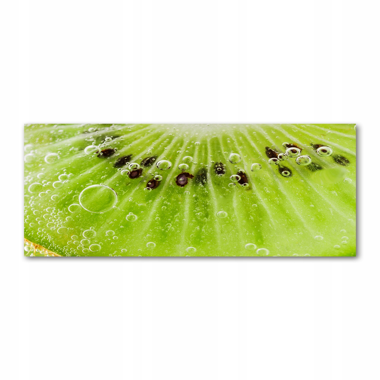 

Foto-obraz akrylowy na ścianę dużyKiwi 125x50 cm