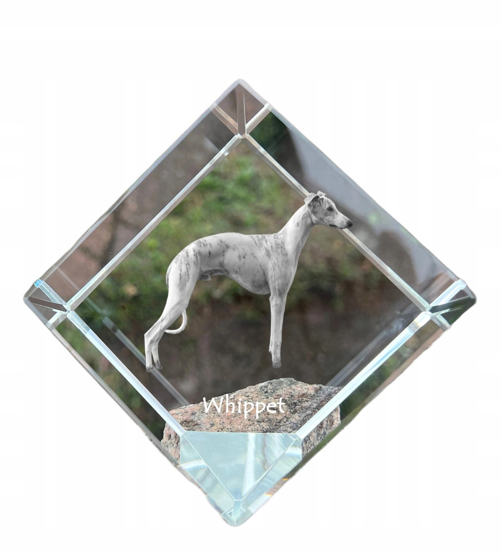 Whippet krištáľová kocka s fotografiou psa, personalizovaná ozdoba na stôl
