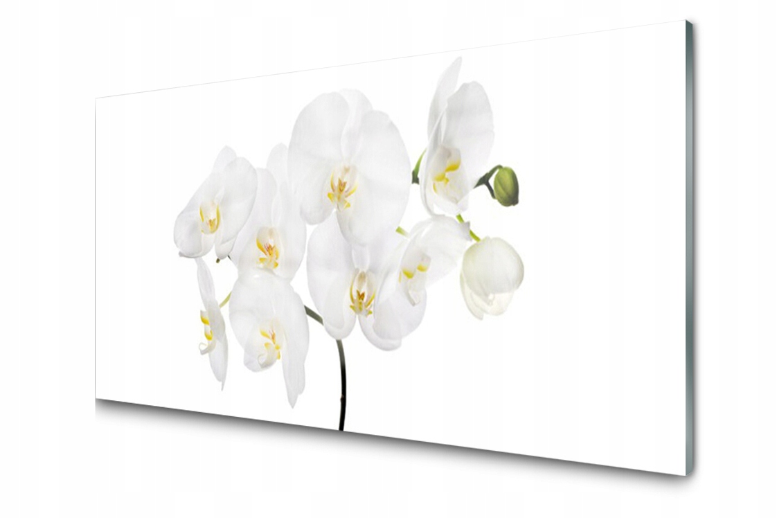 

Panel szklany Płytka Storczyk Biały 120x60 + Klej