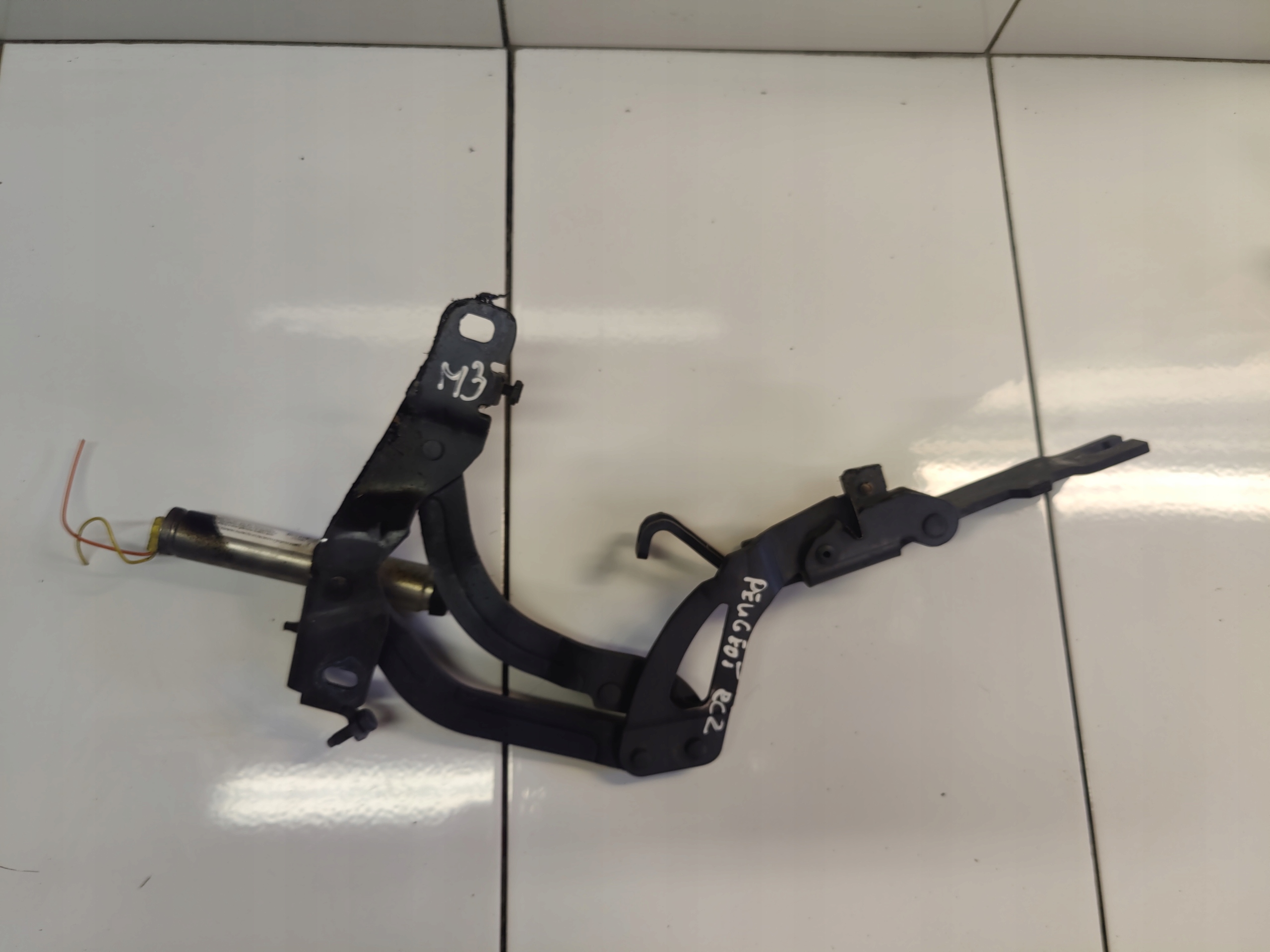 PEUGEOT RCZ hinge bonnets NABOJ complete YM17342080