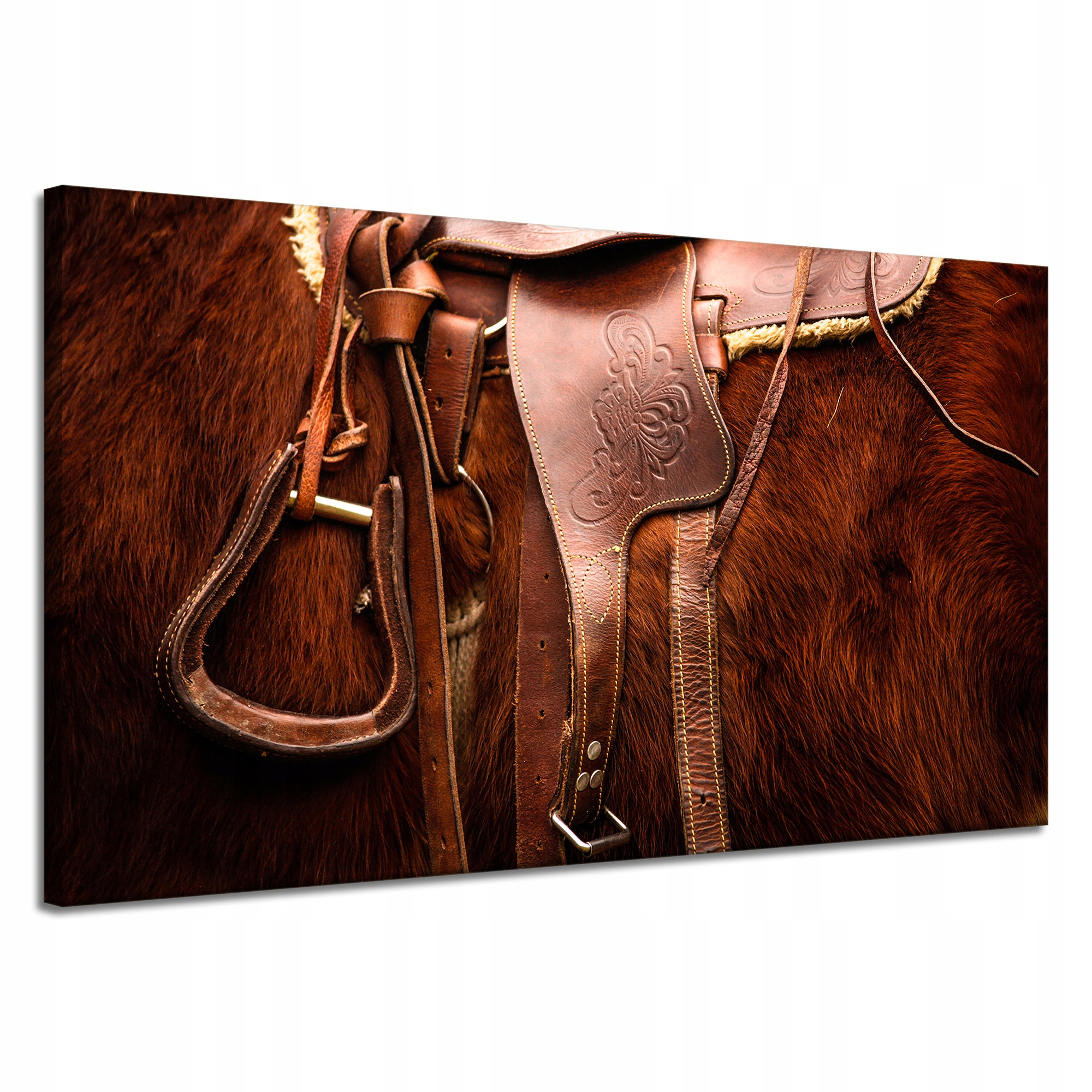 Obraz Canvas Zvířata Sedlo kůň Stáj 120x70