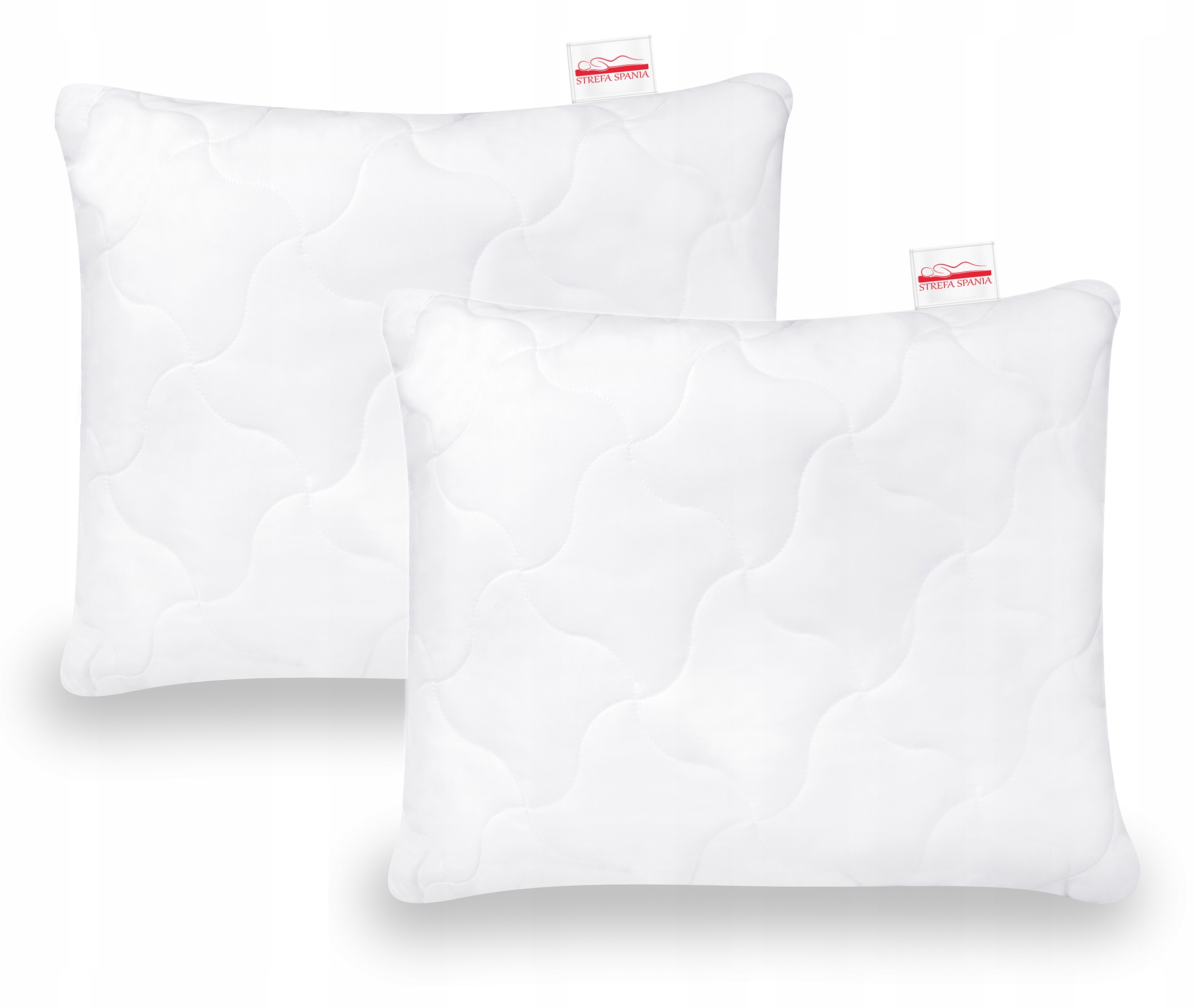 

2PACK Antyalergiczna Poduszka Jasiek 40x40 Aloes