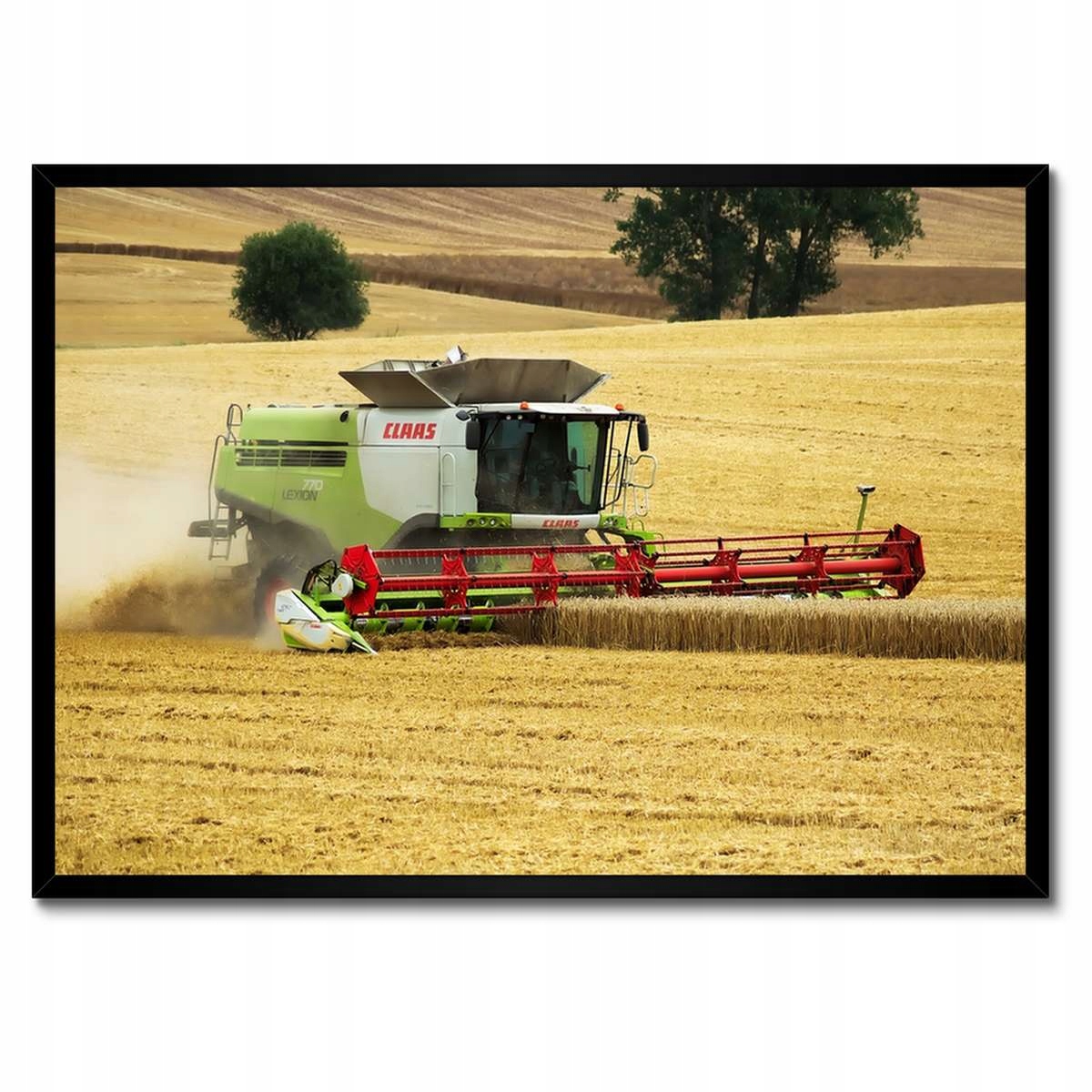 Plakáty v rámu 70x50 Kombajn Claas seká žně