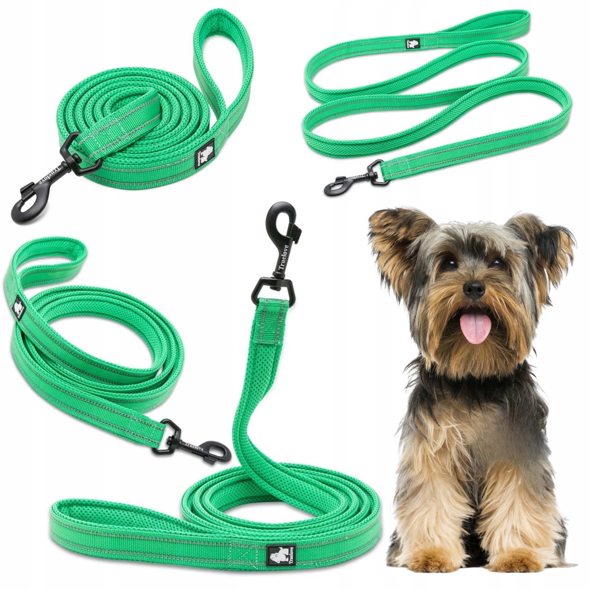 Levně Vodítko Pro Psa Reflexní Silná Truelove Active Zelená 200 CM Velikost S