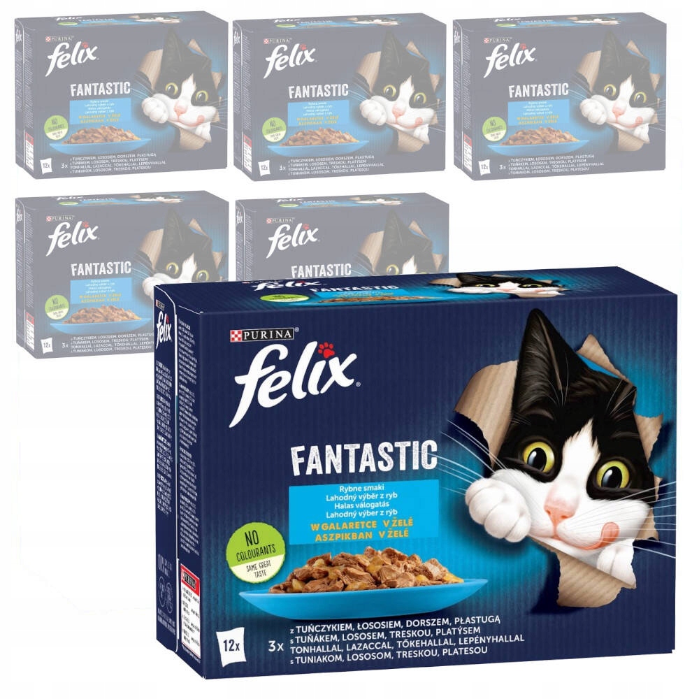 Levně Felix Fantastic Rybí Příchutě V Želé Mokré Krmivo Pro Kočky 72 x 85 g