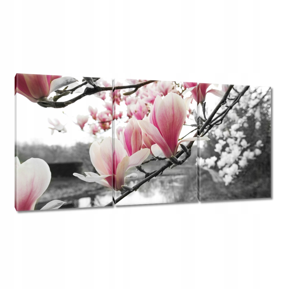 

Obrazy 120x60 Magnolia Kwiatki Kwiaty