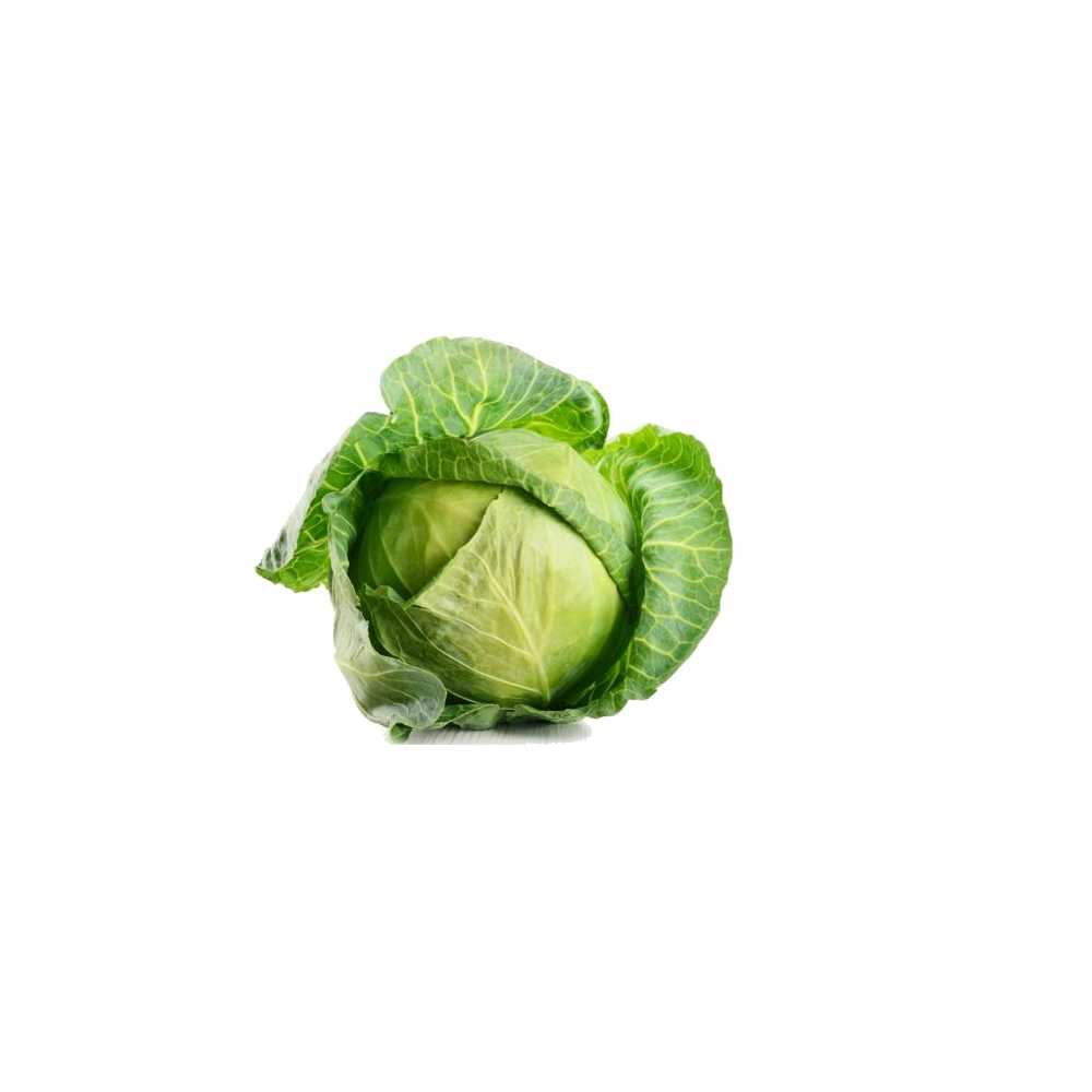 BECZKA 40L DO KISZENIA OGÓRKÓW KAPUSTY ATEST Rodzaj beczka