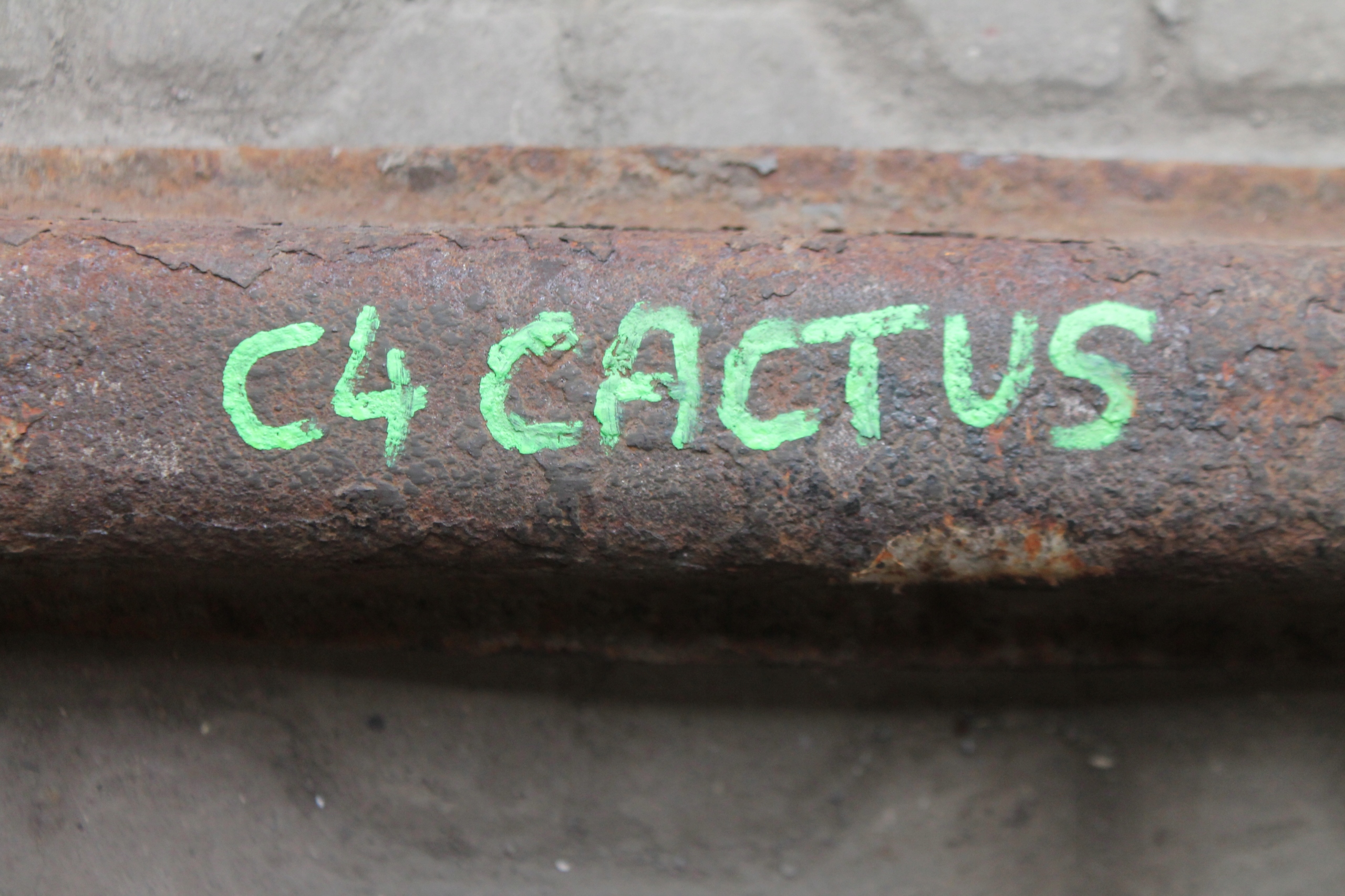 BELKA ZAWIESZENIA TYŁ C4 CACTUS 1.6 BHDI 14-17 Producent części Citroen OE