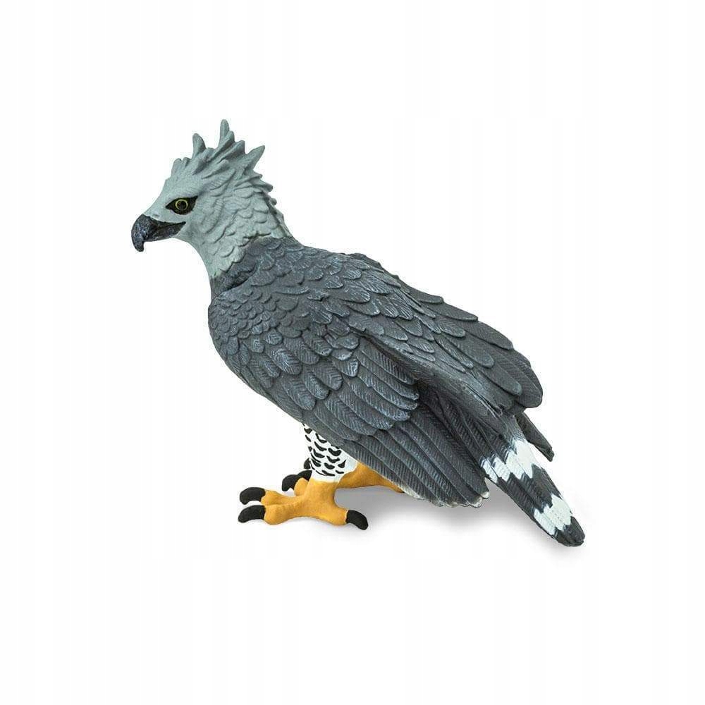 

Harpia Wielka Harpy Eagle Safari Ltd. 150929