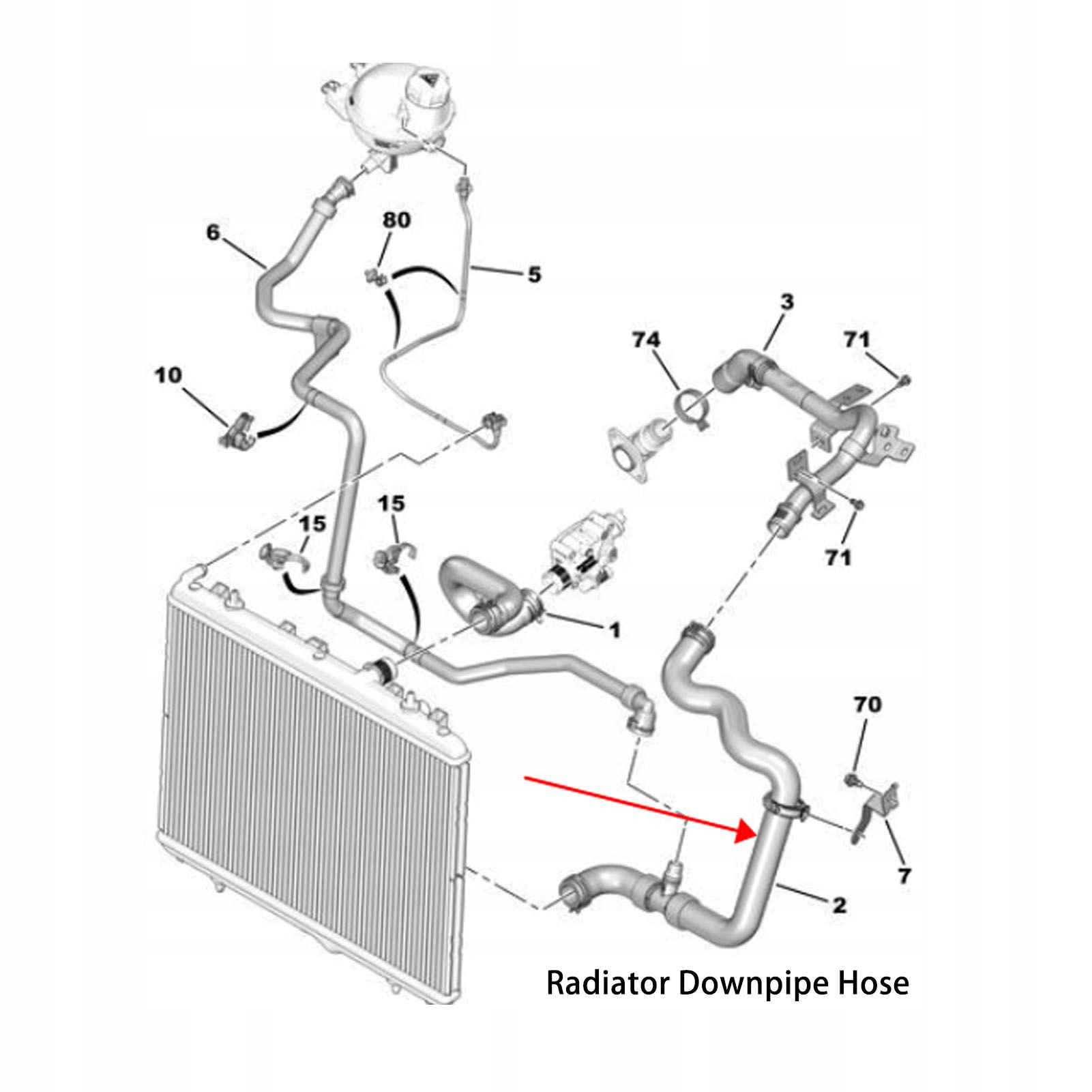 Dolny wąż chłodnicy 9801630680 Gumowy ręczny EAN (GTIN) 647911287771