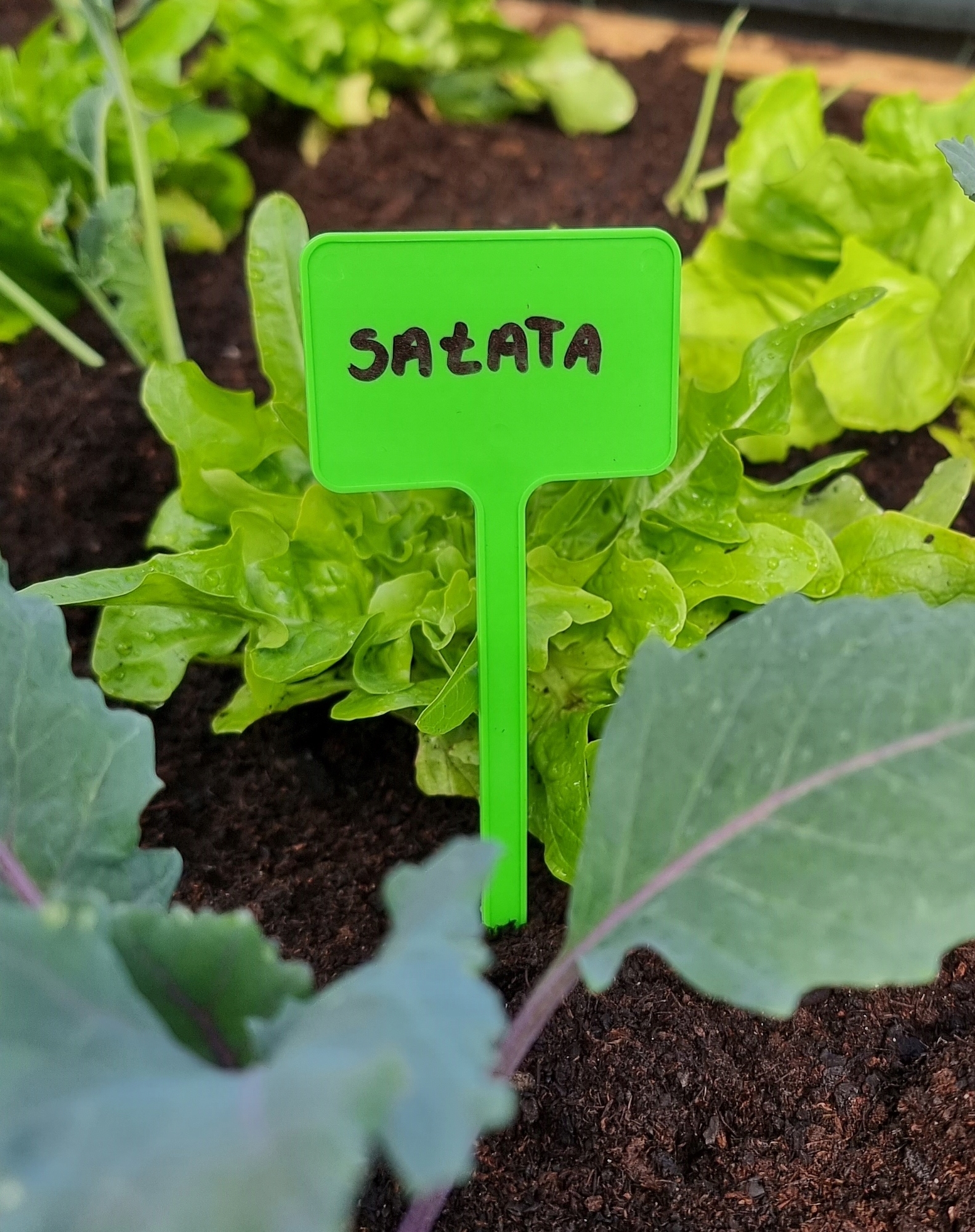 

Tabliczki etykiety do roślin zielone 100 szt.